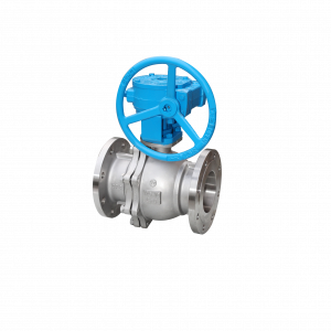 Van bi gioăng mềm loại floating